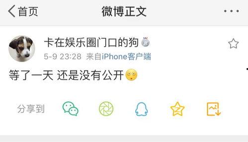 各种爆料吃瓜公众号,各大爆料公众号背后的真相与内幕大曝光